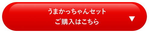 うまかっちゃんセットご購入はこちら