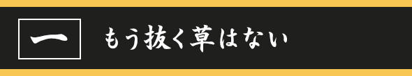 もう抜く草はない