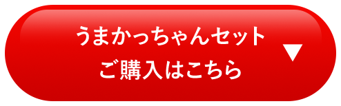 うまかっちゃんセットご購入はこちら